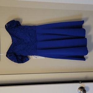 Off the shoulder lace skater dress